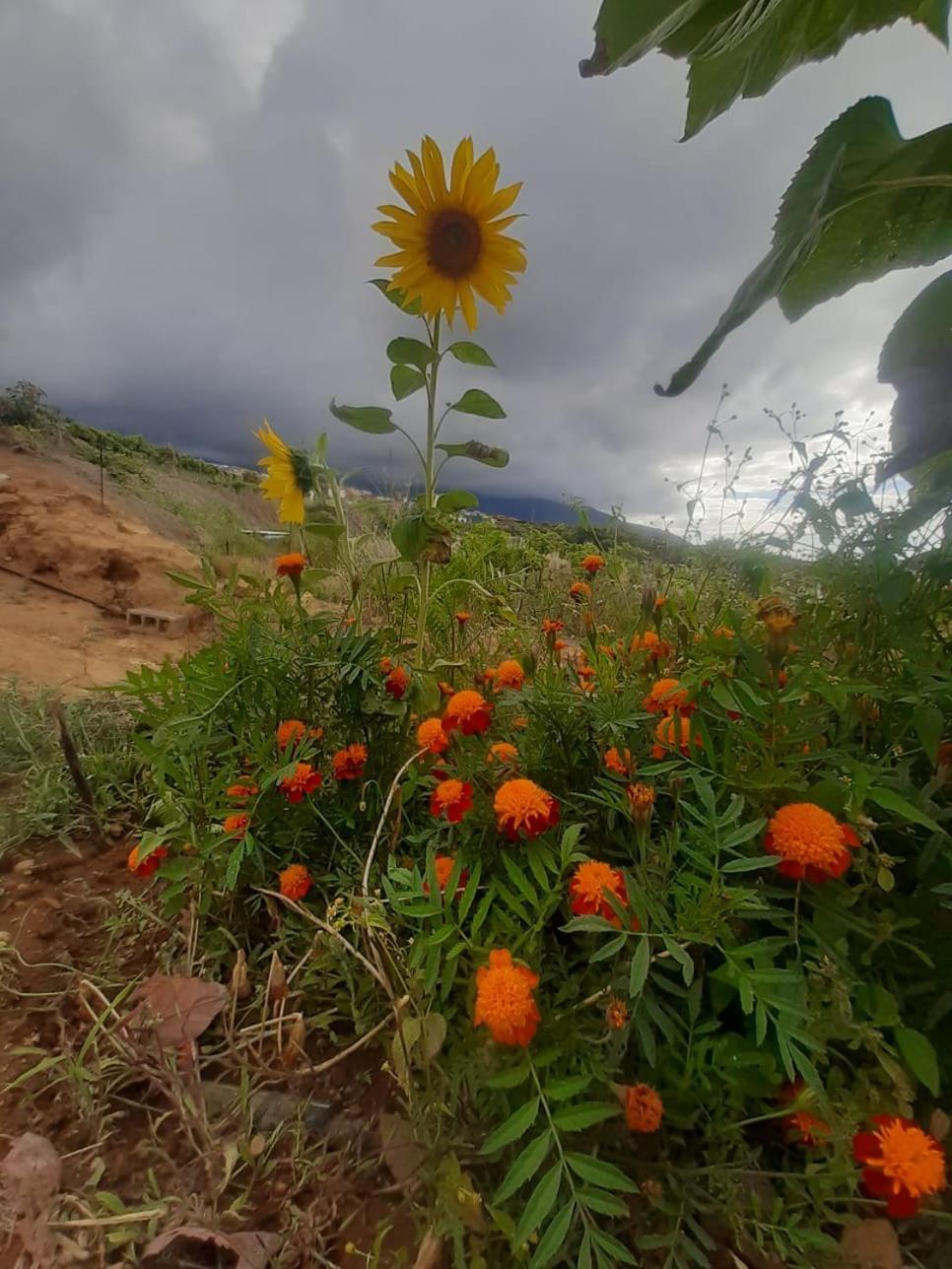 Finca De Luna La Orotava Exteriér fotografie